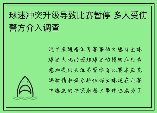 球迷冲突升级导致比赛暂停 多人受伤警方介入调查